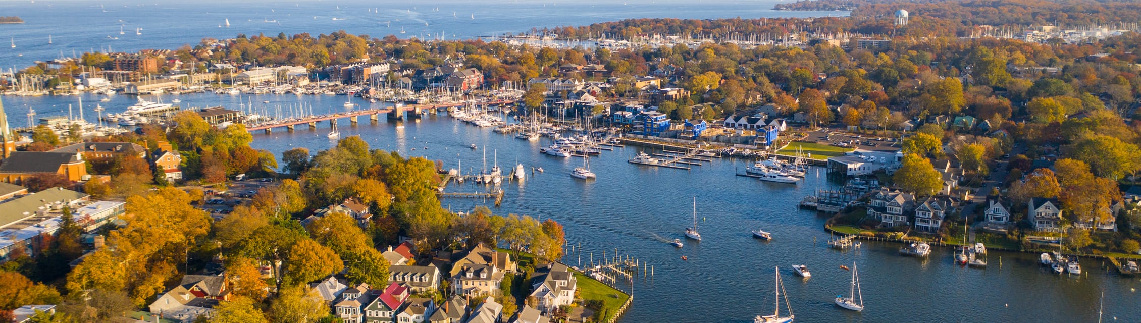 Annapolis banner